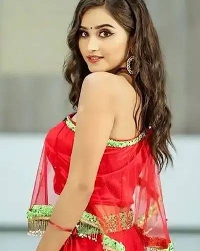 Escort In MP Nagar